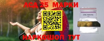мдпв Новозыбков