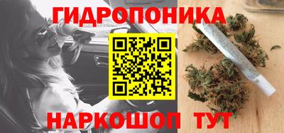 a pvp Новодвинск
