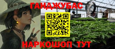 мдпв Новозыбков
