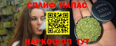 мдпв Новозыбков