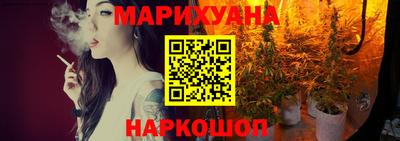 мдпв Новозыбков