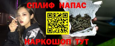 гидра Новокубанск