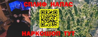 a pvp Новодвинск