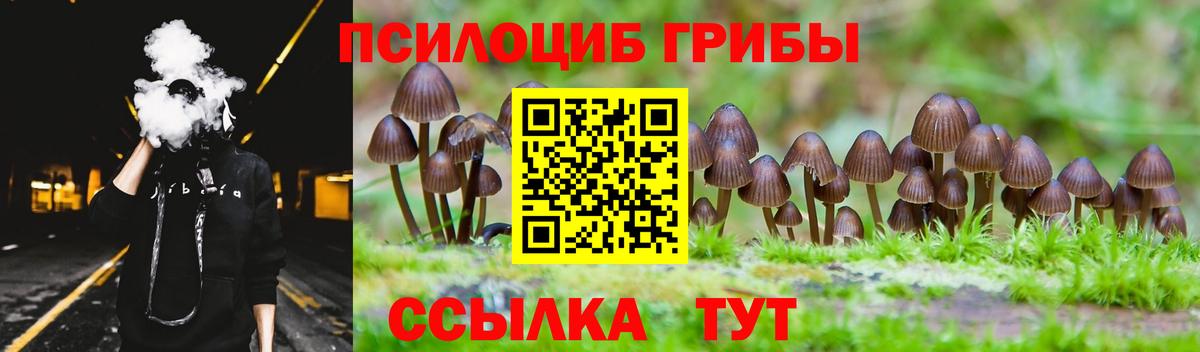 Псилоцибиновые грибы Psilocybine cubensis Саратов